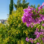Seaside Family Friendly House With A Swimming Pool Arbanija, Ciovo - 24430