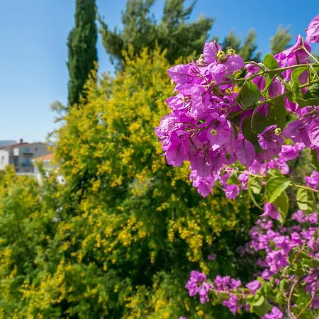 Seaside Family Friendly House With A Swimming Pool Arbanija, Ciovo - 24430